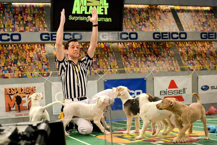 Puppy-Bowl-IX-Dan-Schachner-160313888.jpg